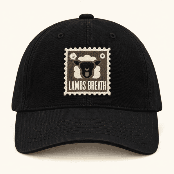 Lambs Breath Hat Front view
